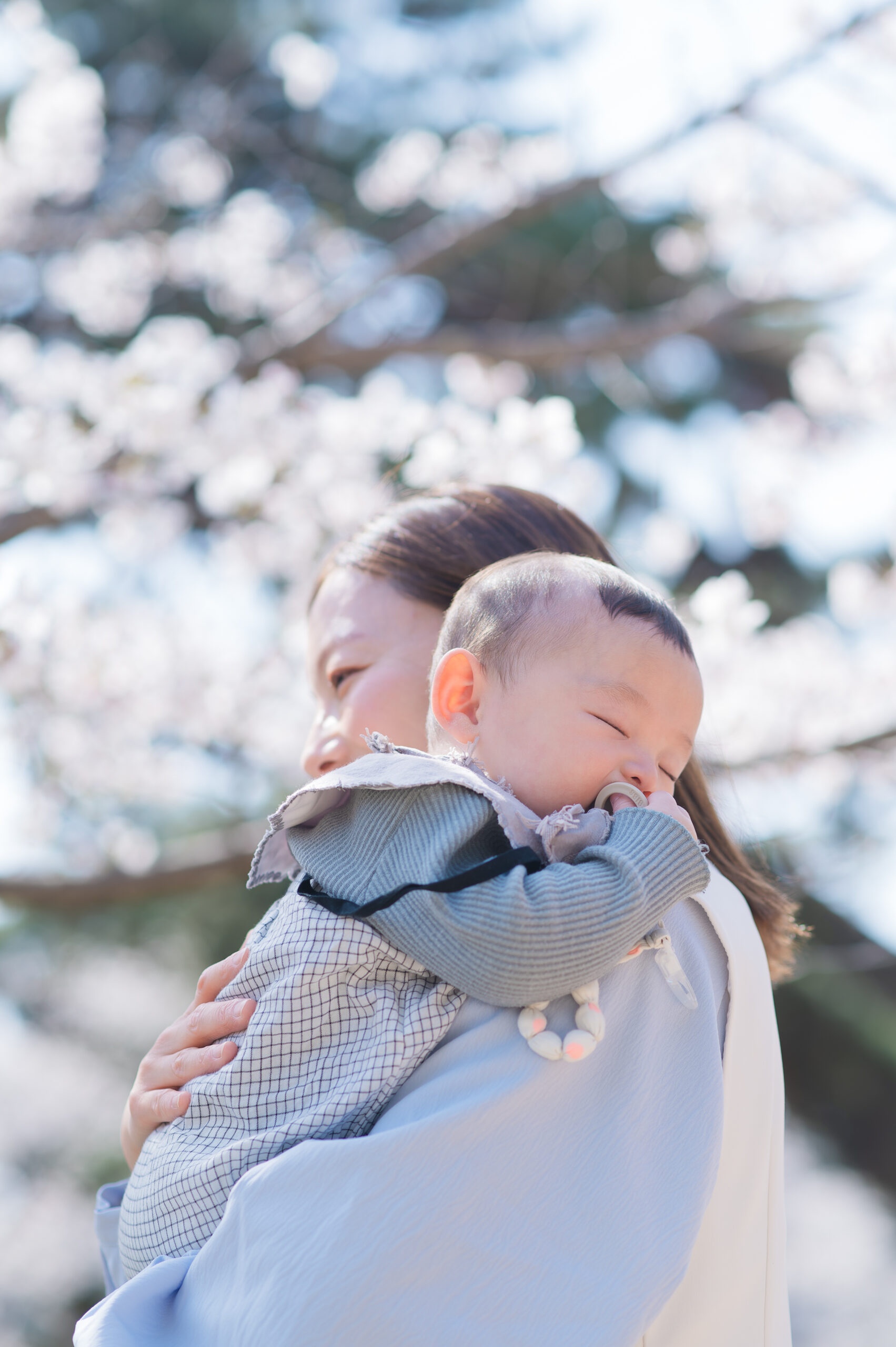 桜の下でお母さんに抱っこされる赤ちゃんの写真
